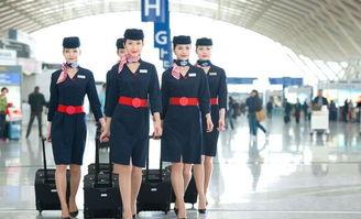 国航空姐最新爆料信息,揭秘航空业不为人知的秘密  第3张